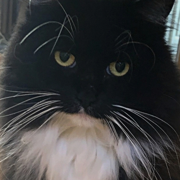 Meet your Posher, Barbara - Picture 3 of 9